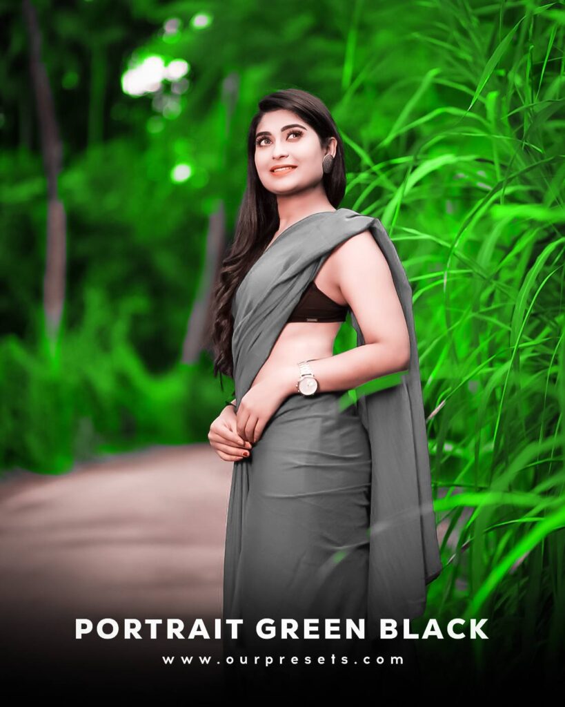 Portrait green black lightroom presets