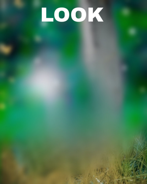Looking Hd cb editing background CB Background HD Picsart