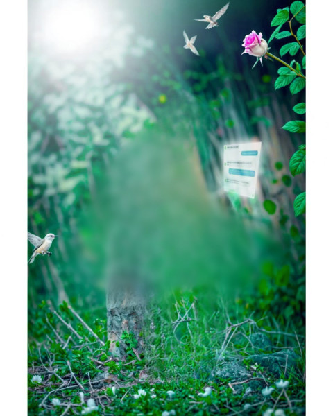 Nature Photo Editing Background Images HD Free