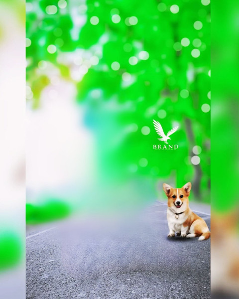 Dog Cb Editing Background 2025 HD Free