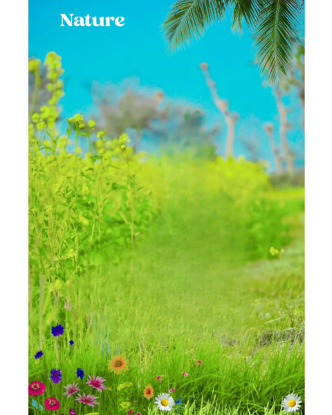 Nature Photo Editing Background Images HD 1080p