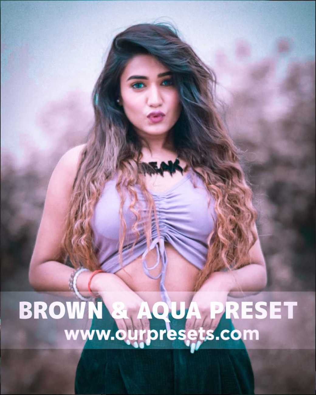 Brown & aqua preset download