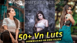 Vn Luts Bundle Download | 50+ Vn Luts Download Free | Vn Presets Download
