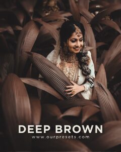 Deep brown Lightroom Preset| Lightroom Brown Tone Preset | Lightroom preset