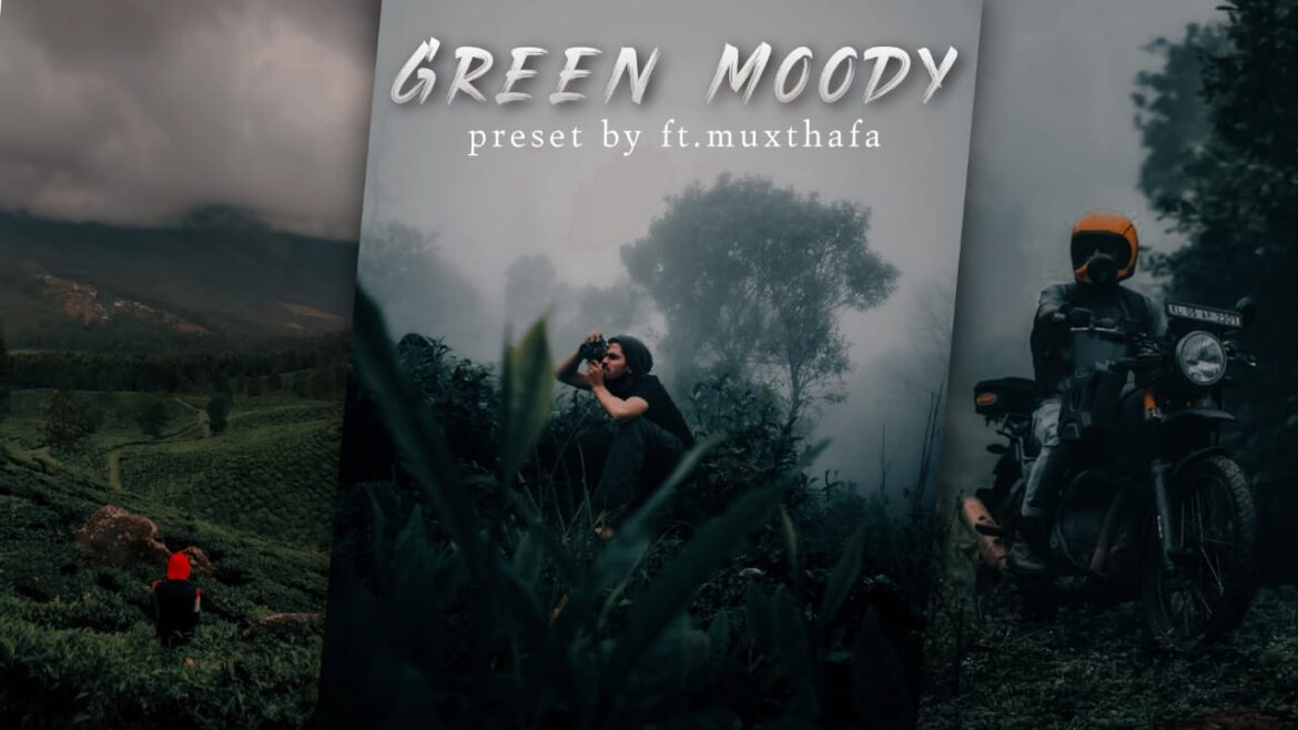 Green Moody Lightroom Preset | Lightroom Mobile Green Moody Preset