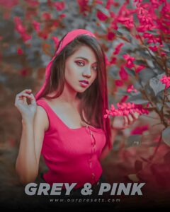 Lightroom grey pink preset | Lightroom pink presets | Lightroom free presets download