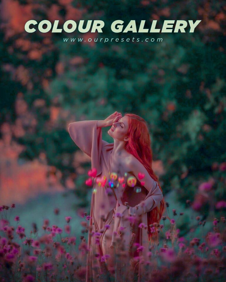Colour gallery lightroom presets