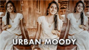 Lightroom urban moody presets | Lightroom urban presets Free download