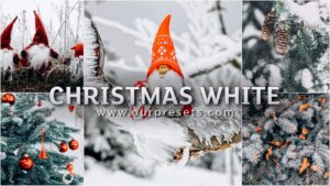 Christmas white lightroom presets