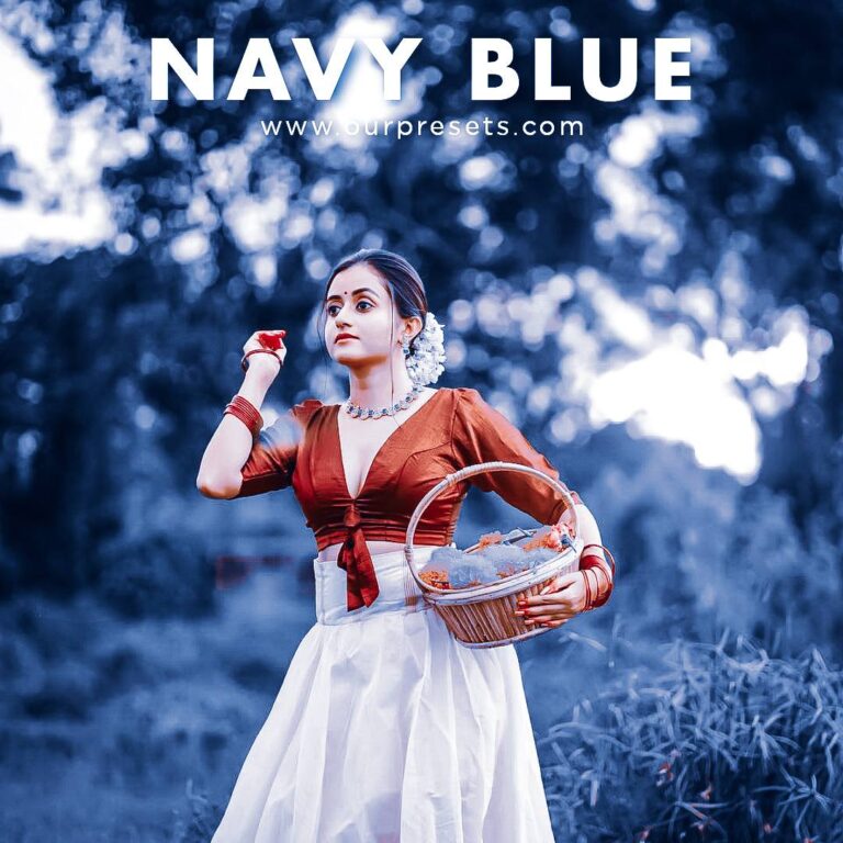 Lightroom navy blue presets