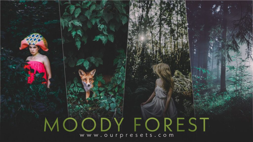 Moody forest lightroom presets