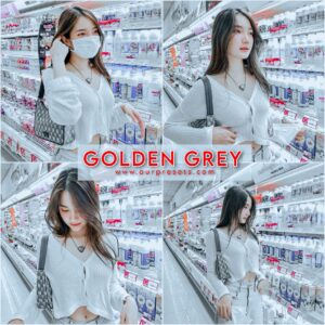 Golden grey lightroom preset | gray presets lightroom free download