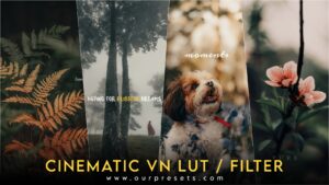 Cinematic vn luts download | Cinematic vn Filter - ourpresets