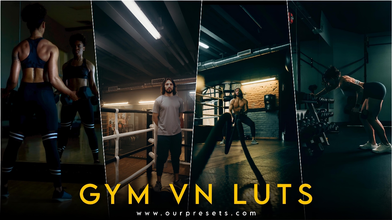 Gym vn luts free download