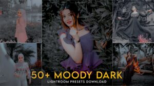 Top 50+ Moody Dark Premium Lightroom Presets Free Download