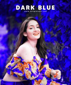 Dark blue lightroom preset