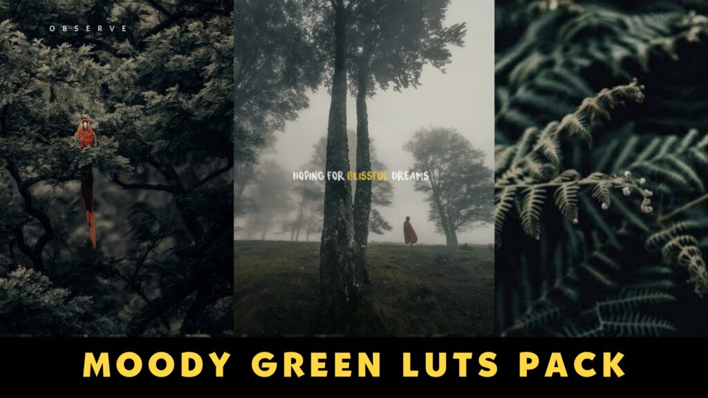 Moody green vn luts free