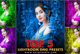 Top 5 Most Download Lightroom Presets