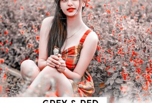 Free Red Grey Lightroom Preset